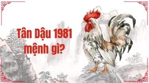 1981-menh-gi-tuoi-gi-giai-ma-phong-thuy-tan-dau-hop-tuoi-mau_514