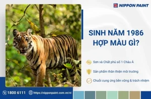 1986-menh-gi-tuoi-gi-giai-ma-a-z-van-menh-hop-tuoi-mau-huong_104