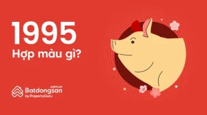 1995-menh-gi-tuoi-gi-giai-ma-hop-tuoi-mau-huong-don-tai-loc-_828