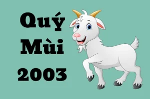 2003-menh-gi-tuoi-gi-kham-pha-van-menh-mau-sac-huong-hop-tu-_836