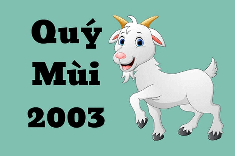 2003-menh-gi-tuoi-gi-kham-pha-van-menh-mau-sac-huong-hop-tu-_836