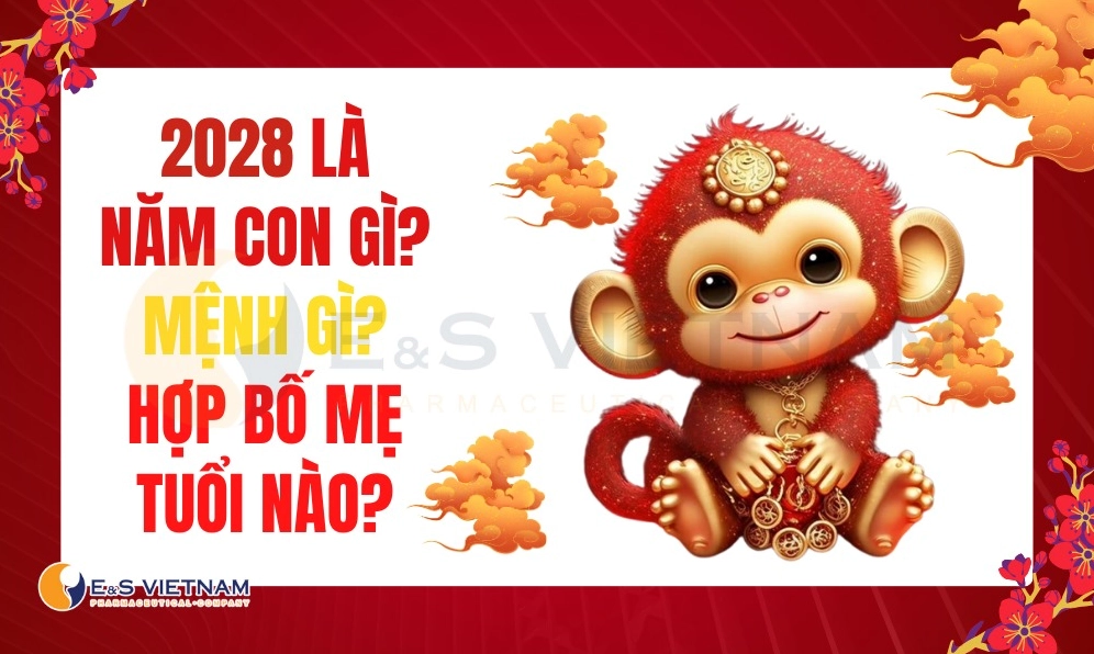 2028-menh-gi-tuoi-gi-kham-pha-van-menh-hop-tuoi-mau-sac-huon_267