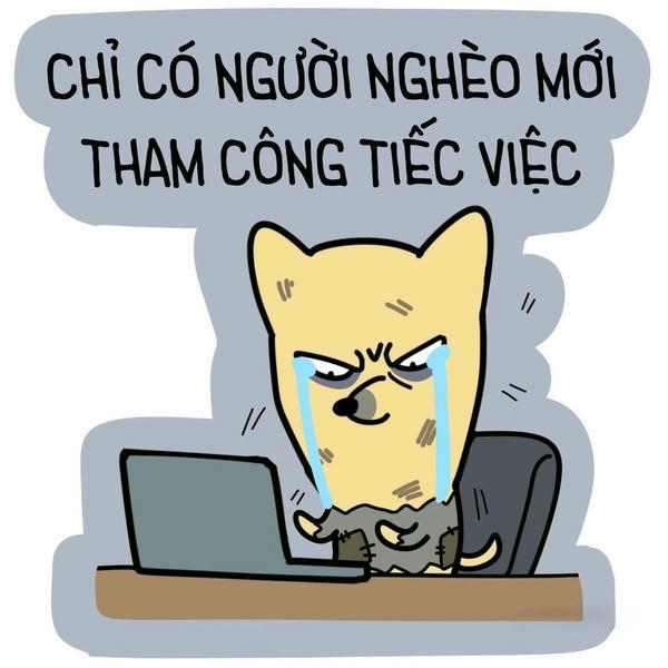 Ảnh bựa mang phong cách dí dỏm đầy sáng tạo