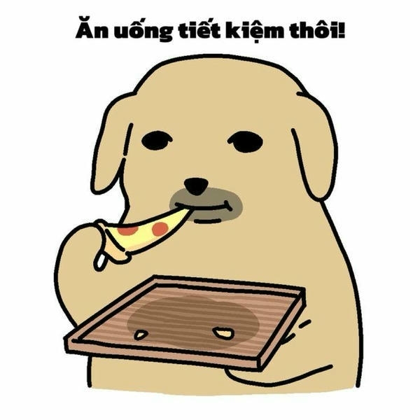 Ảnh bựa với phong thái dí dỏm và khác lạ
