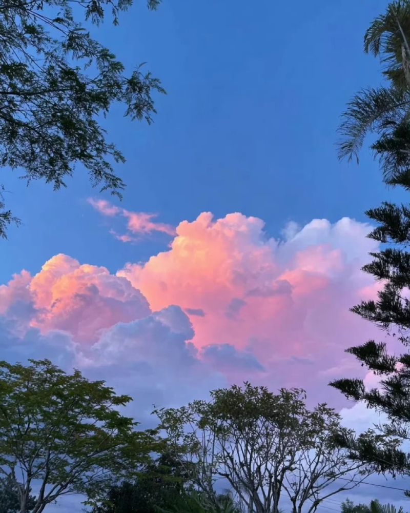 Ảnh hoàng hôn đẹp cho những phút giây thư giãn