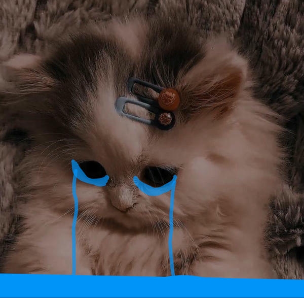 Ảnh meme buồn với biểu cảm mệt mỏi chân thực