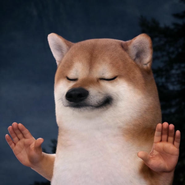 Dog meme với biểu cảm hài hước đầy bất ngờ