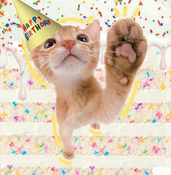 Happy birthday meme thể hiện cảm xúc phấn khởi
