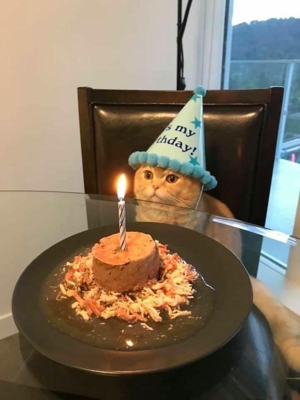 Happy birthday meme thể hiện không khí sinh nhật vui