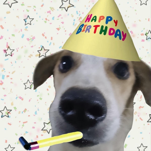 Happy birthday meme thể hiện tinh thần chúc mừng