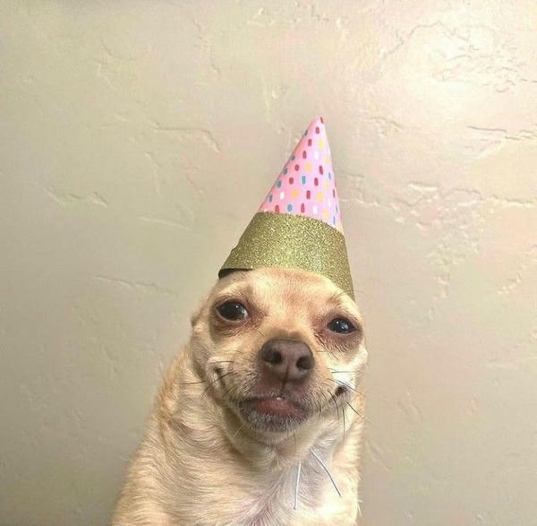 Happy birthday meme với biểu cảm vui nhộn nổi bật