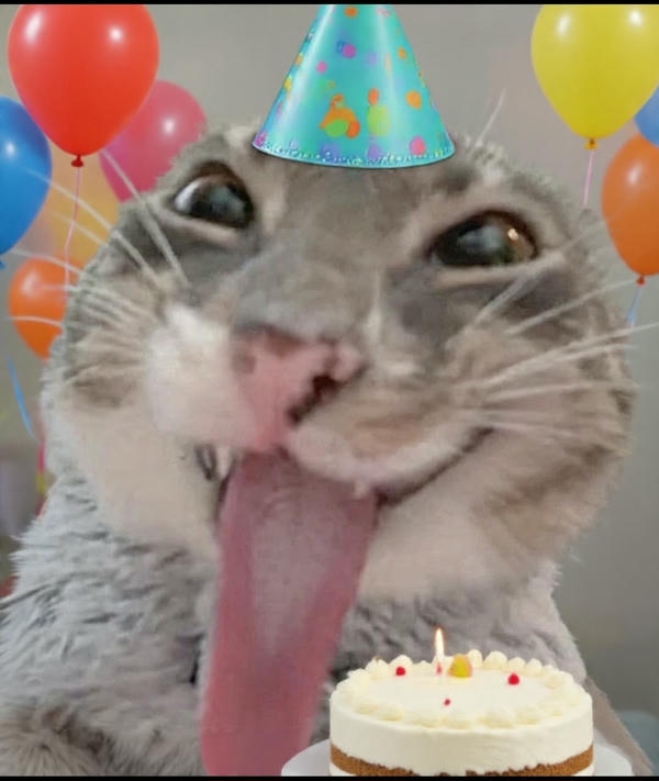 Happy birthday meme với thông điệp sinh nhật dí dỏm