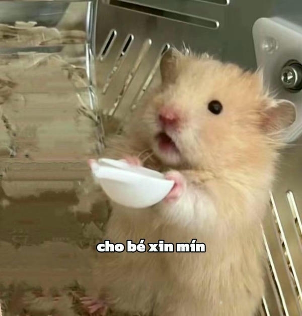 Hình ảnh hài hước với biểu cảm lầy lội khó đỡ