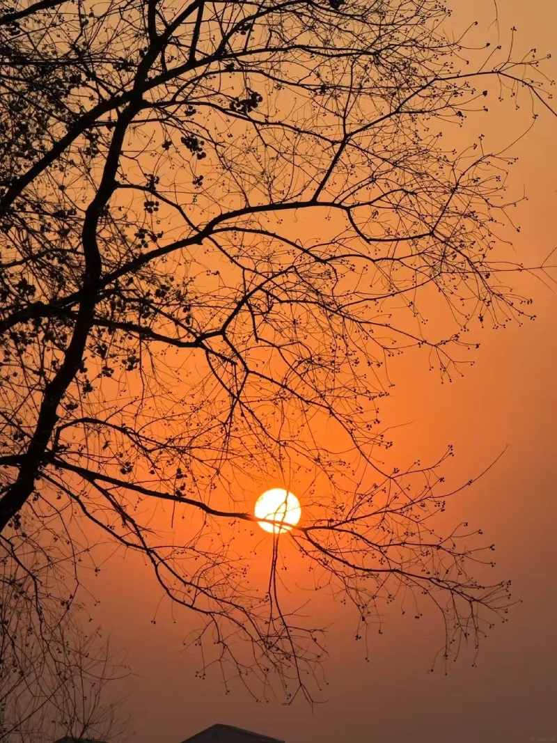Hình ảnh hoàng hôn đẹp lãng mạn