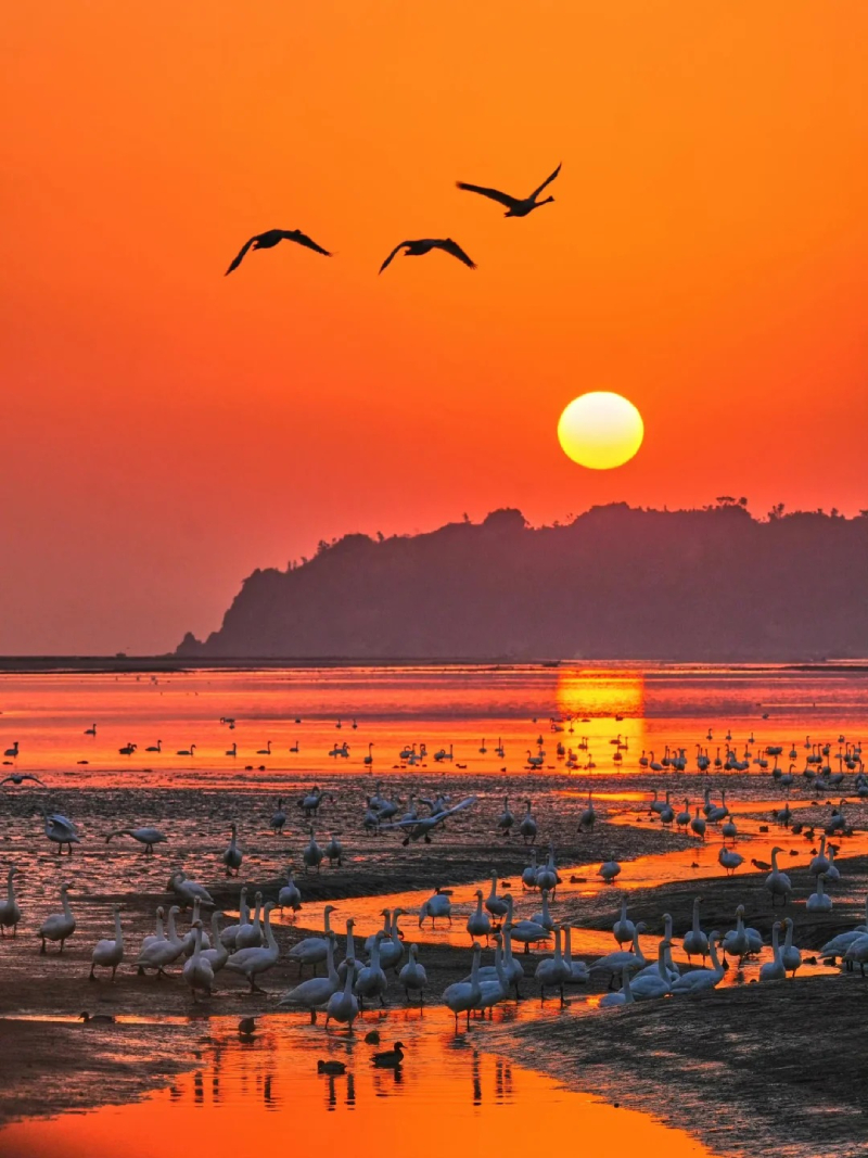 Hình ảnh hoàng hôn đẹp rực rỡ