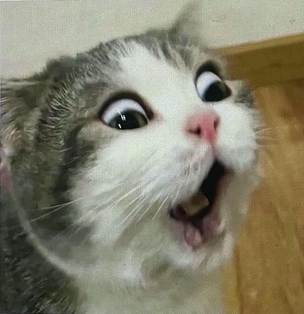 Meme bất ngờ thể hiện thần thái sững sờ độc đáo