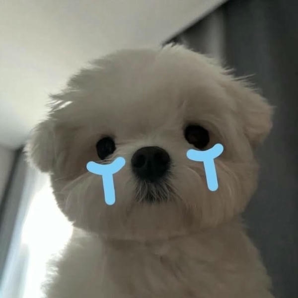 Meme buồn mang ánh mắt chất chứa nhiều nỗi niềm