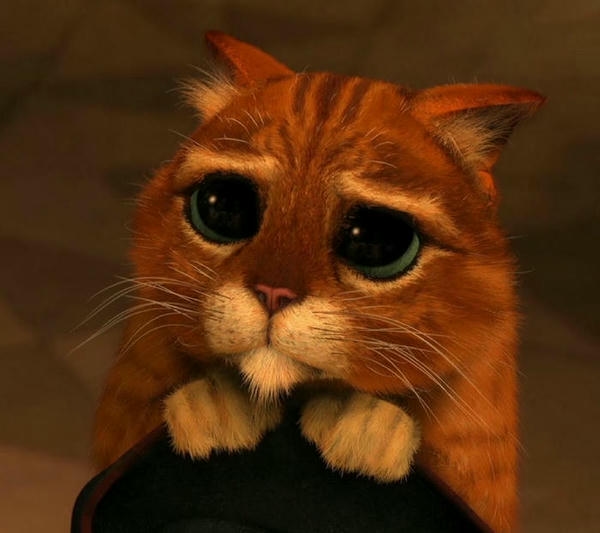 Meme buồn mang biểu cảm mệt mỏi pha chút cô đơn