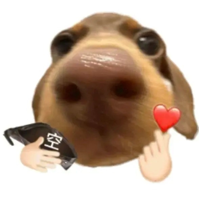Meme chó khiến dân mạng bật cười