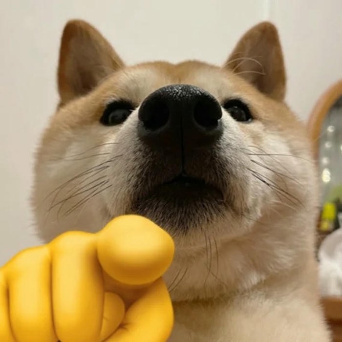 Meme hài hước mang biểu cảm khó đỡ và độc đáo