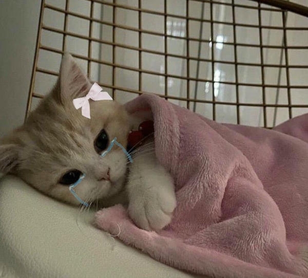 Meme tâm trạng buồn với biểu cảm cô đơn