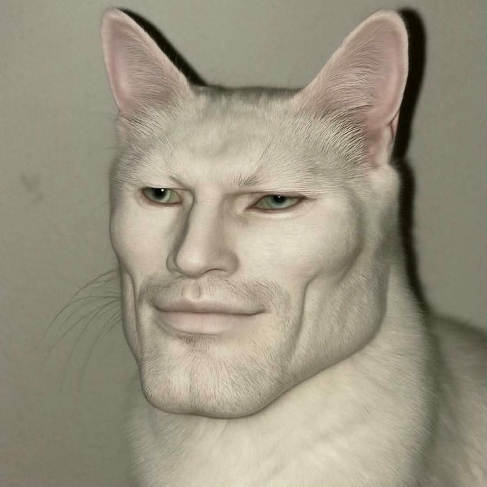 Meme vui nhộn với biểu cảm bất ngờ đầy thú vị