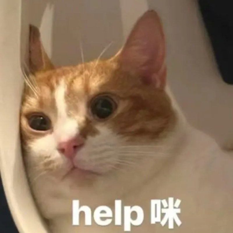 Những hình ảnh meme hài khó nhịn cười
