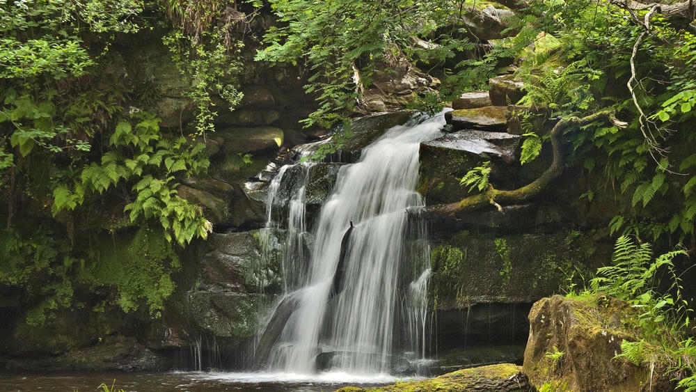 Wallpaper 4K 1920×1080 cho máy tính với thiết kế tinh tế