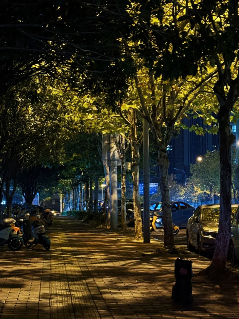 ảnh chill đường phố về đêm chất lượng cao