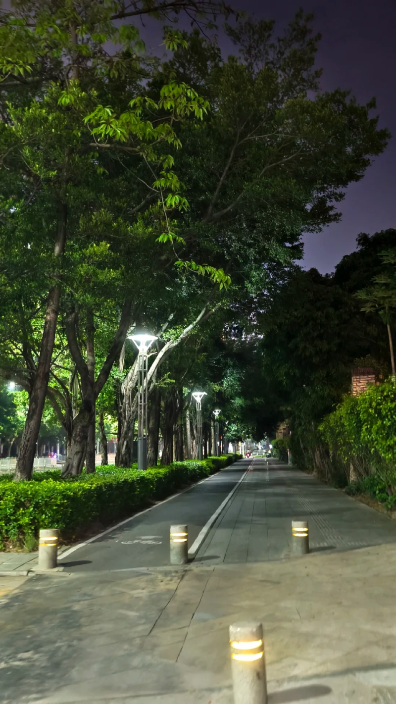 ảnh chill đường phố về đêm cho hình nền