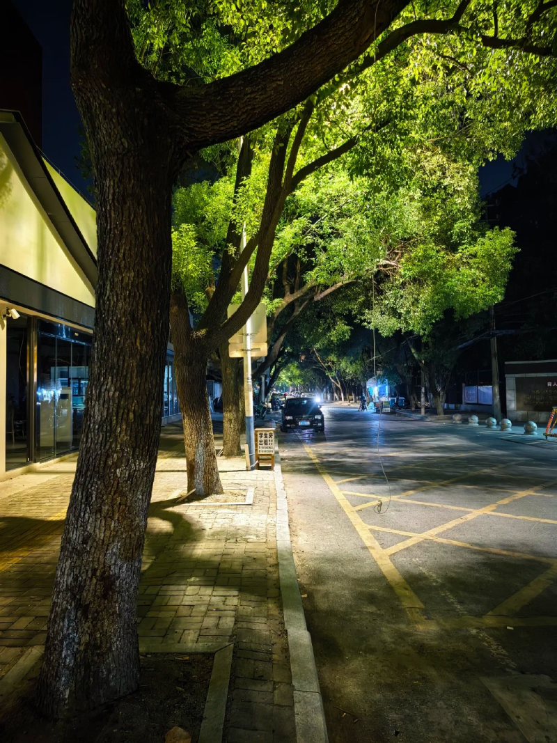 ảnh đường phố dưới ánh đèn neon