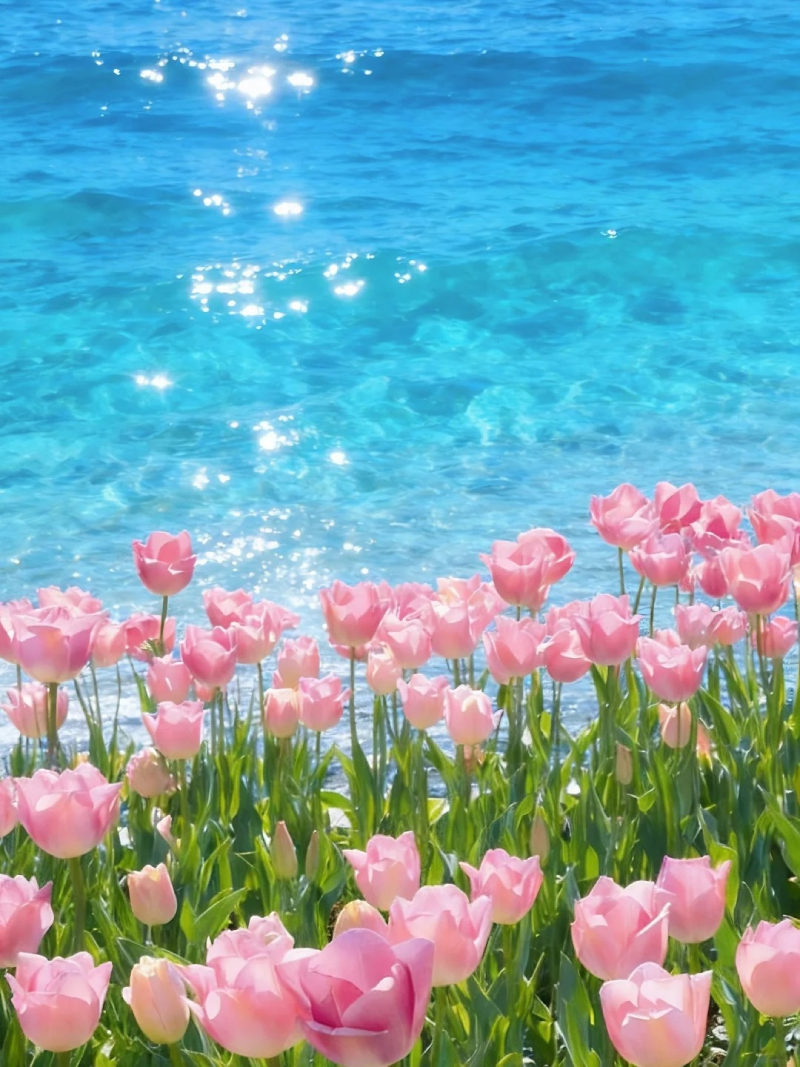 ảnh hoa tulip đẹp