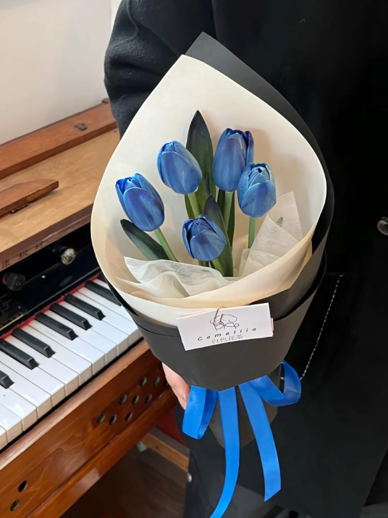 ảnh hoa tulip đẹp chất lượng cao