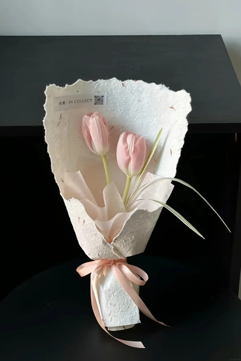 bộ sưu tập hình hoa tulip đẹp