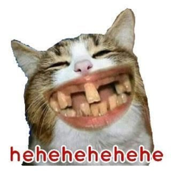 ảnh meme cười đáng yêu