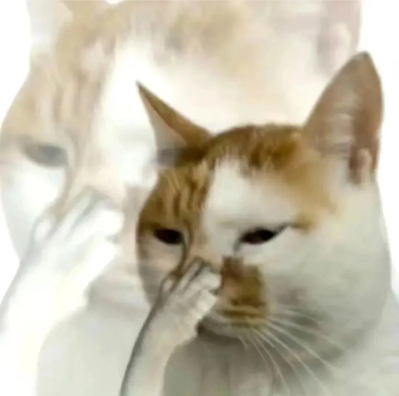 ảnh meme cười ra nước mắt