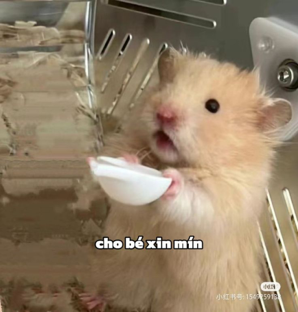 ảnh meme hết tiền cuối tháng