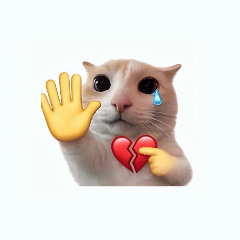 ảnh meme mèo bựa