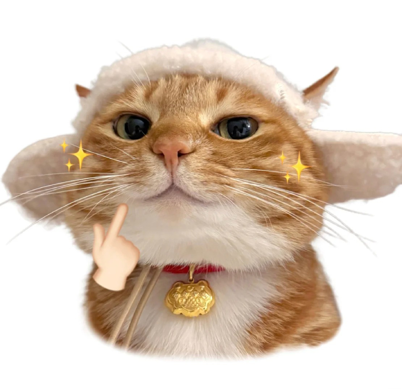 ảnh mèo meme buồn bã