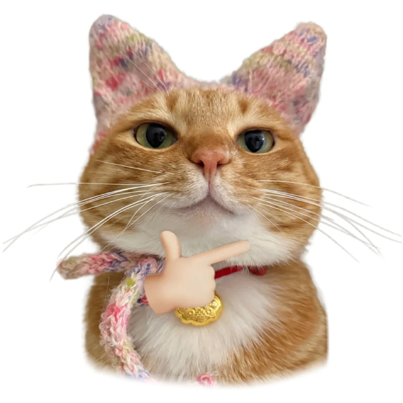 ảnh mèo meme đáng thương