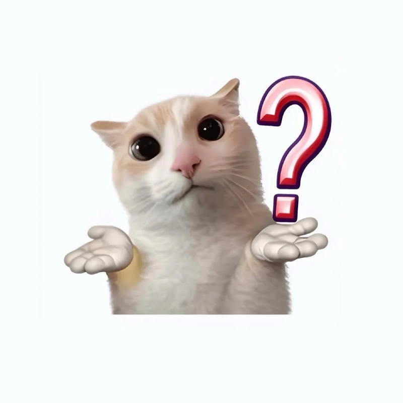ảnh mèo meme ngạc nhiên