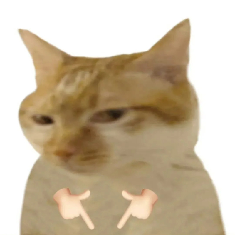 ảnh mèo meme phản ứng hài