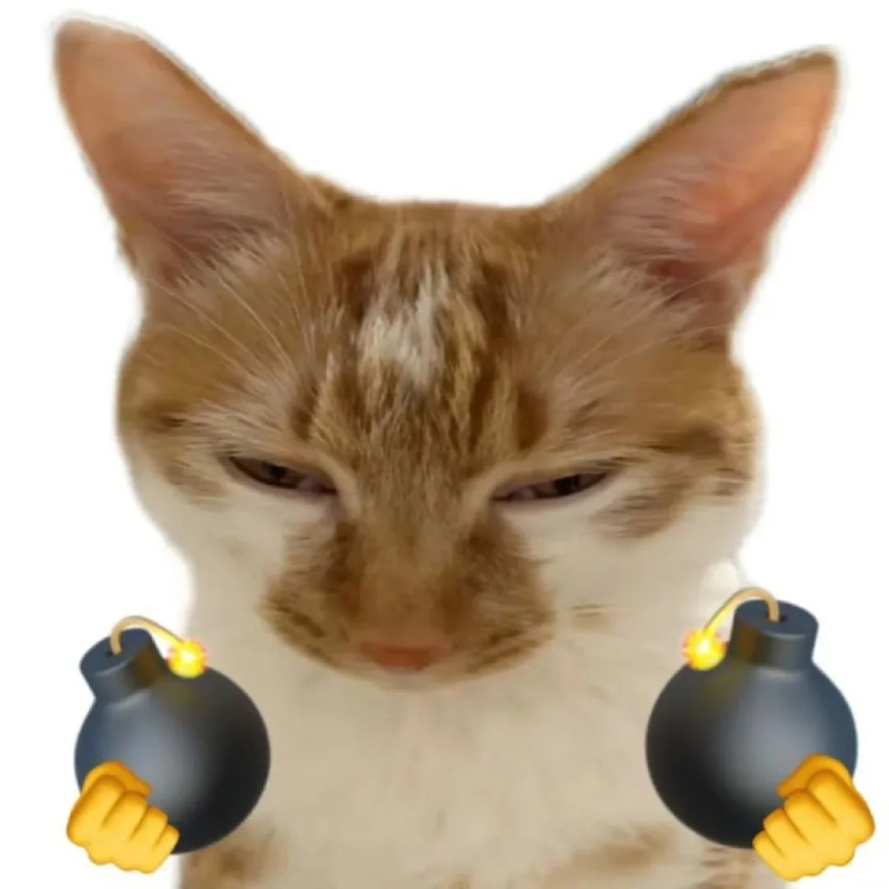 ảnh mèo meme siêu hài