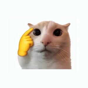 ảnh mèo meme sốc