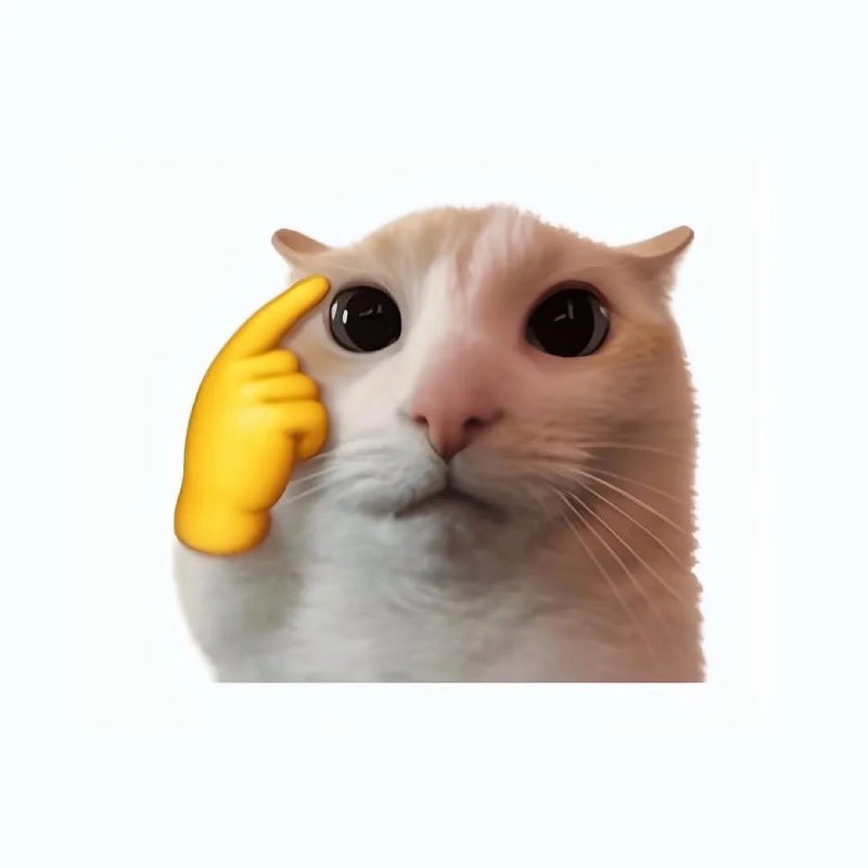 ảnh mèo meme sốc