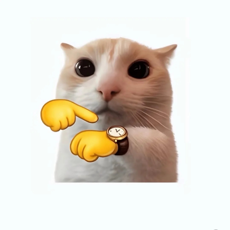 ảnh mèo meme vẽ