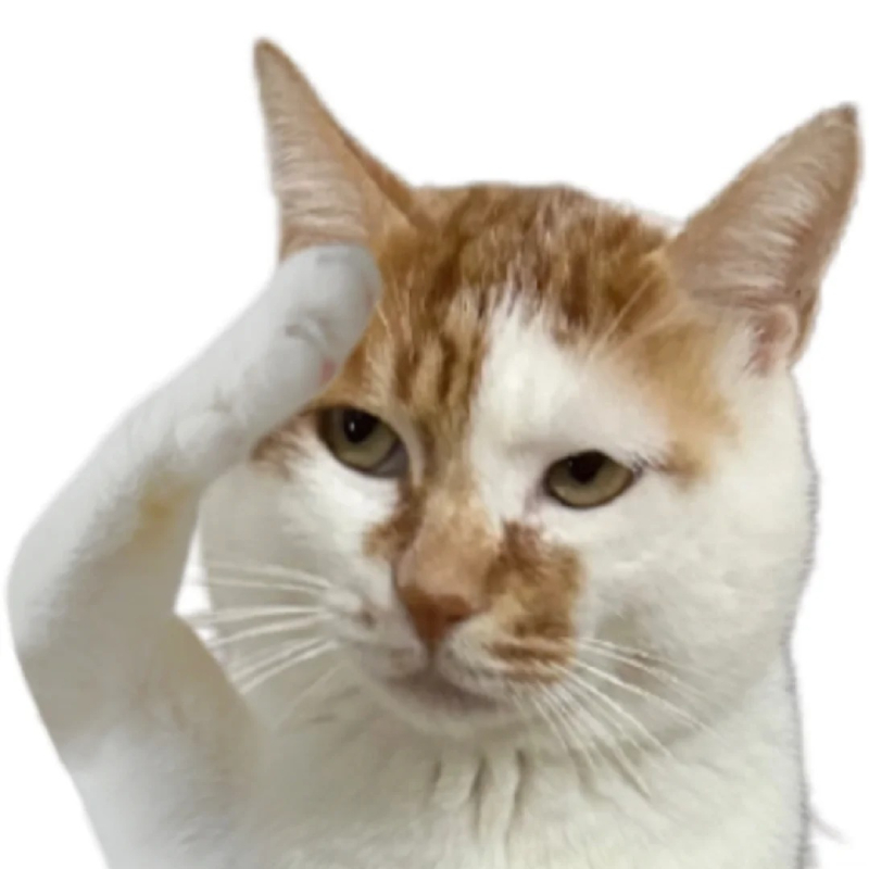 avatar meme việt nam