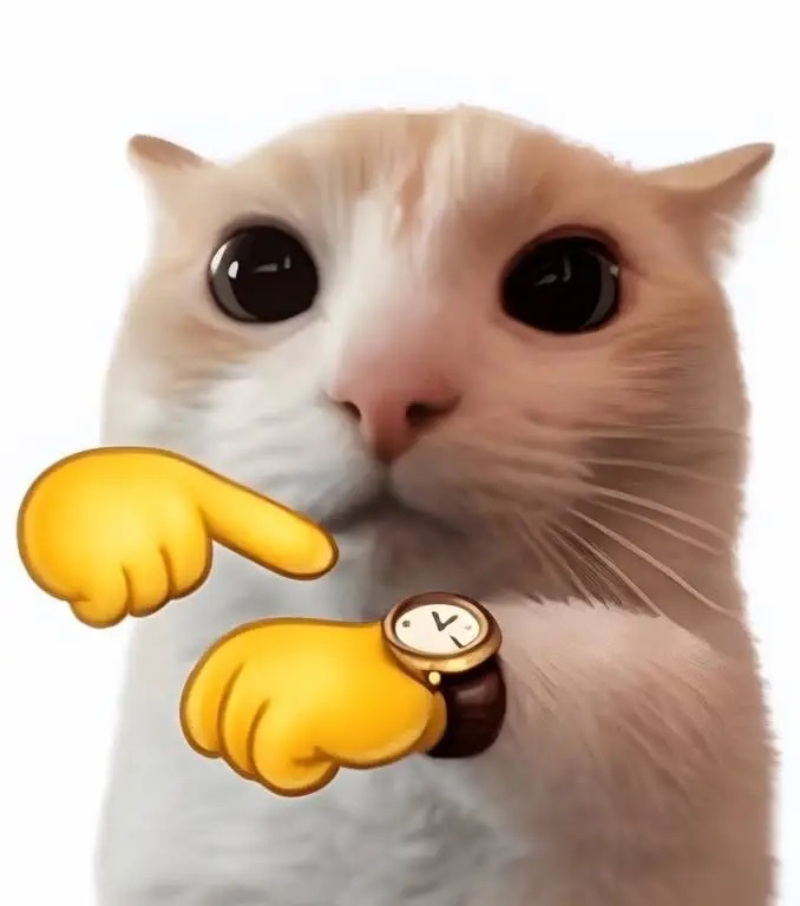 cat meme biểu cảm khó hiểu của một chú mèo