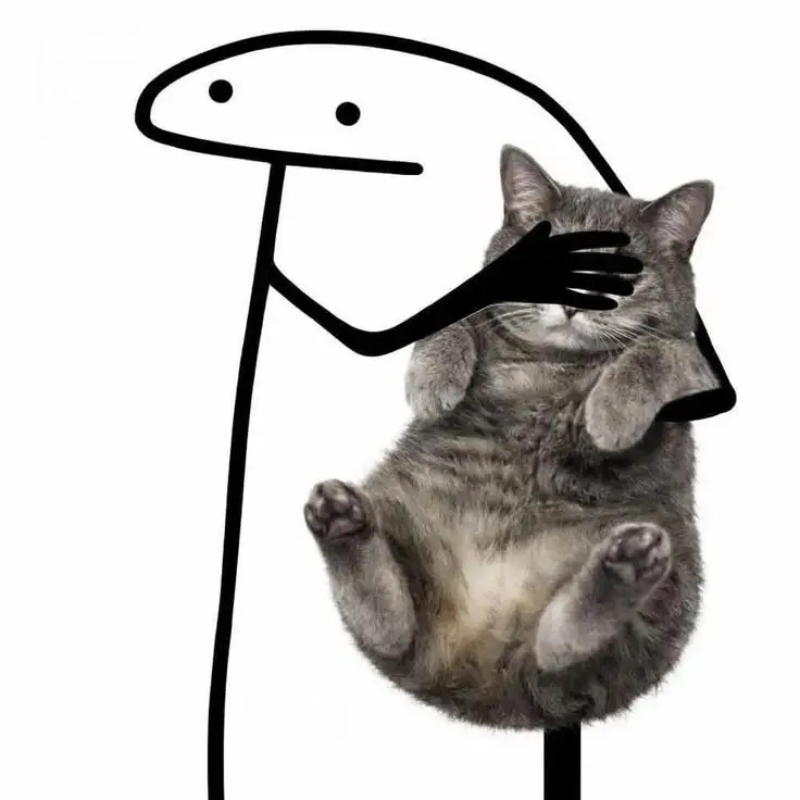 cat meme chú mèo có biểu cảm cực kỳ lầy lội