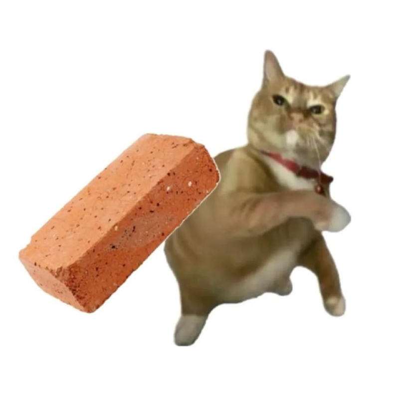 cat meme chú mèo đang thể hiện vẻ mặt bất ngờ